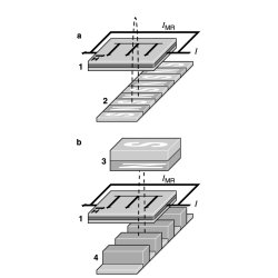 Capteur de vitesse de roue BOSCH 0265007527 pour RENAULT, BOSCH