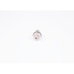 Common Rail System Pressure Relief Valve BOSCH 1110010013 OE Ref 97371618