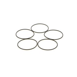 Seal Ring BOSCH 1 410 210 046 OE Ref 93194427