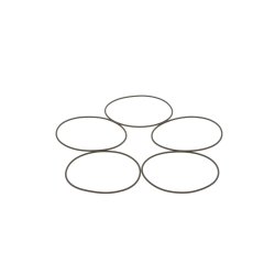 Seal Ring BOSCH 1 410 210 054 OE Ref 1309029