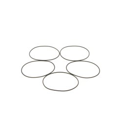 Joint torique BOSCH 1410210054 OE 606670 BOSCH