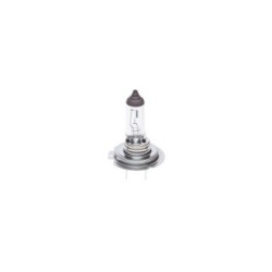 Ampoule projecteur BOSCH 1987302091 pour AUDI, BMW, CITROEN, DACIA, FIAT et plus encore... BOSCH