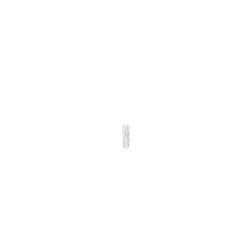 Interior Light Bulb BOSCH 1987302208