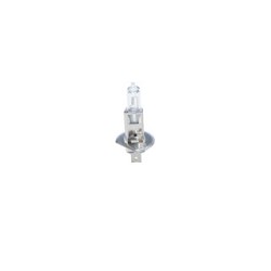 Ampoule projecteur BOSCH 1987302411 pour DAF, IRISBUS, IVECO, MAN, MERCEDES et plus encore... BOSCH