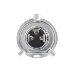 Ampoule projecteur BOSCH 1987302742 pour DAF, IVECO, MAN, MERCEDES, NEOPLAN et plus encore... BOSCH