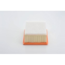 Air Filter BOSCH 1987429182 OE Ref 1444 CC