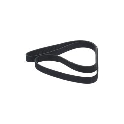 V ribbed Belt BOSCH 1 987 945 142 OE Ref 117207504R