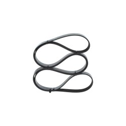 V ribbed Belt BOSCH 1 987 946 261 OE Ref 252124A700