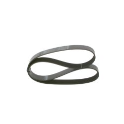 Courroie trapézoïdale à nervures BOSCH 1987947091 pour IVECO, MAN OE 504005526 BOSCH