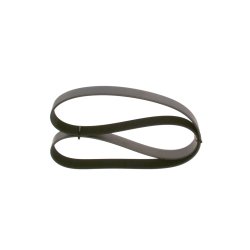 Courroie trapézoïdale à nervures BOSCH 1987947379 pour DAF CF, XF OE 1654398