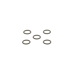 Seal Ring BOSCH 2 440 210 019 OE Ref 01319130