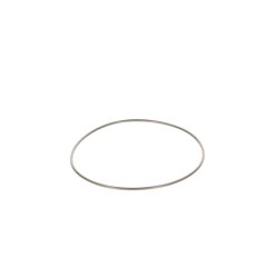 Seal Ring BOSCH 2 440 210 044 OE Ref 51965010620