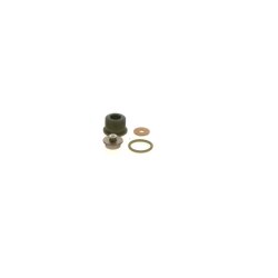 Common Rail System Repair Kit BOSCH F 00N 202 480