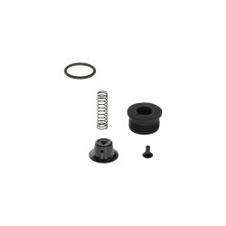 Common Rail System Repair Kit BOSCH F 00N 203 059