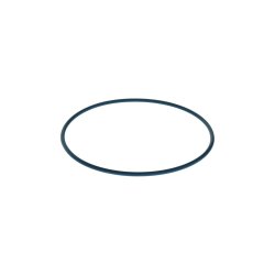 Joint torique BOSCH F00N204104 BOSCH