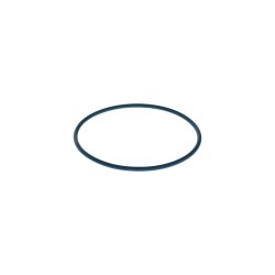 Seal Ring BOSCH F 00N 204 105 BOSCH