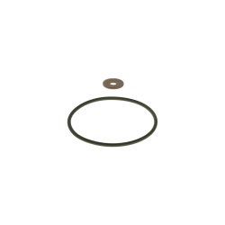 Seal Ring BOSCH F 00R 0P0 819 OE Ref 8200765847
