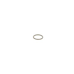Seal Ring BOSCH F 00R J00 342