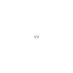 Laveuse BOSCH F00RJ04660