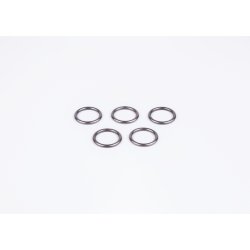 Seal Ring BOSCH F 00Z G20 001