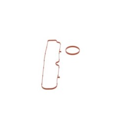 Injector Pump Centrifugal Governor Seal Kit BOSCH F01C600073 OE Ref 77364149