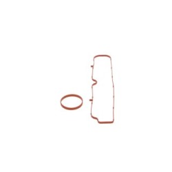 Kit de joints pour régulateur centrifuge de pompe d'injection BOSCH F01C600073 OE 77364149 BOSCH