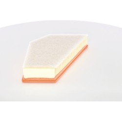 Filtre à air BOSCH F026400255 pour VOLVO OE 30741485 BOSCH