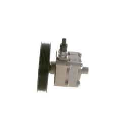 Power Steering Pump BOSCH KS01000060 OE Ref 8666198