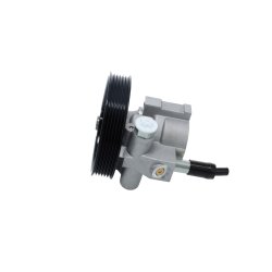 Power Steering Pump BOSCH K S02 000 031 OE Ref 491103569R