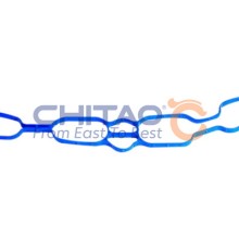 Intake Manifold Gasket CHITAO CT311624 OE Ref 10293223