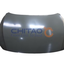 Bonnet CHITAO CT399976 OE Ref 10230176SEPP
