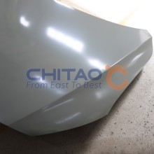 Bonnet CHITAO CT399976 OE Ref 10230176SEPP CHITAO