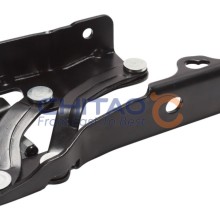 Bonnet Hinge CHITAO CT920299 OE Ref 10062361