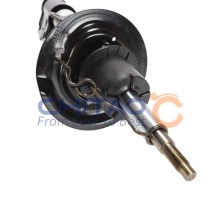 Shock Absorber CHITAO CT92124 OE Ref 202001634AA CHITAO