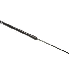 Bonnet Gas Spring CHITAO CT9784 OE Ref 10603157