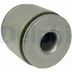 Control Trailing Arm Mount DELPHI TD833W