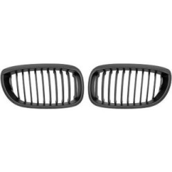 Radiator Grille DIEDERICHS 1214840