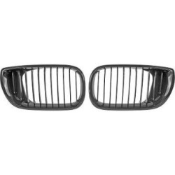 Radiator Grille DIEDERICHS 1215641