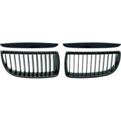 Radiator Grille Insert DIEDERICHS 1216243