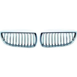 Radiator Grille DIEDERICHS 1216640