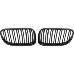 Radiator Grille DIEDERICHS 1216744