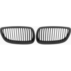 Radiator Grille DIEDERICHS 1216843