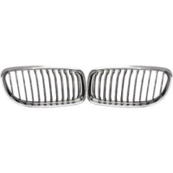 Radiator Grille DIEDERICHS 1216940