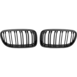 Radiator Grille DIEDERICHS 1216943