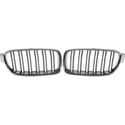 Radiator Grille DIEDERICHS 1217243
