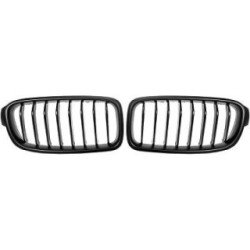Radiator Grille DIEDERICHS 1217441