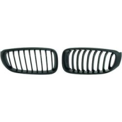Radiator Grille DIEDERICHS 1217941