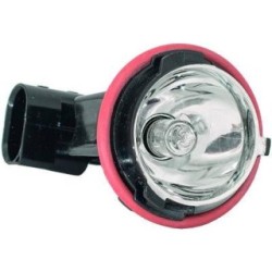 Park Position Light Bulb DIEDERICHS 1223187 OE Ref 63128389744