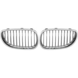 Radiator Grille DIEDERICHS 1224240