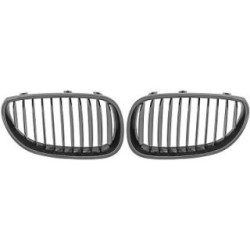 Radiator Grille DIEDERICHS 1224541